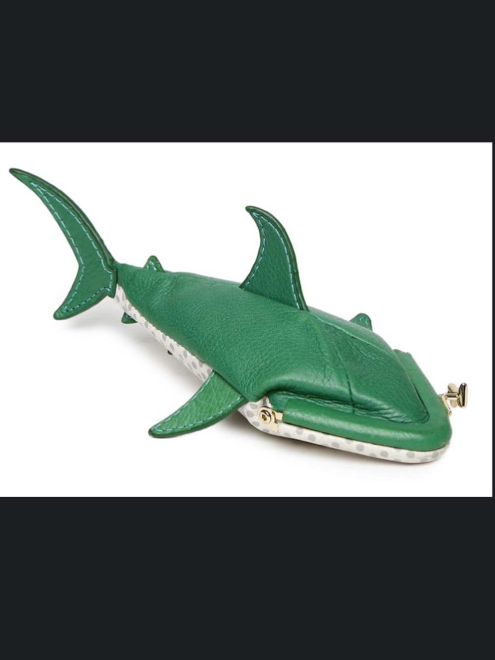 Fossil Shark Coin Purse